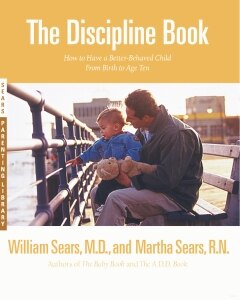 The Discipline Book