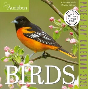 Audubon Birds Page-A-Day Calendar 2025