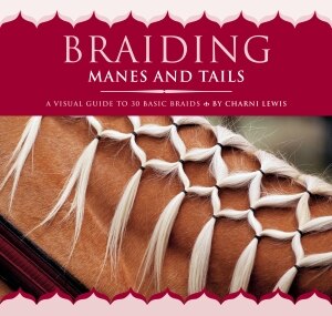 Braiding Manes and Tails