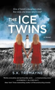 The Ice Twins